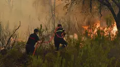 Petugas pemadam kebakaran berusaha memadamkan kebakaran hutan yang disebabkan suhu ekstrem di Larache, Maroko utara, Jumat (15/7/2022). Petugas pemadam kebakaran dan militer berjuang untuk menahan beberapa kebakaran hutan di Maroko utara, ketika ratusan warga mengungsi dari rumah mereka karena kobaran api yang melanda petak besar hutan pinus. (AP Photo)