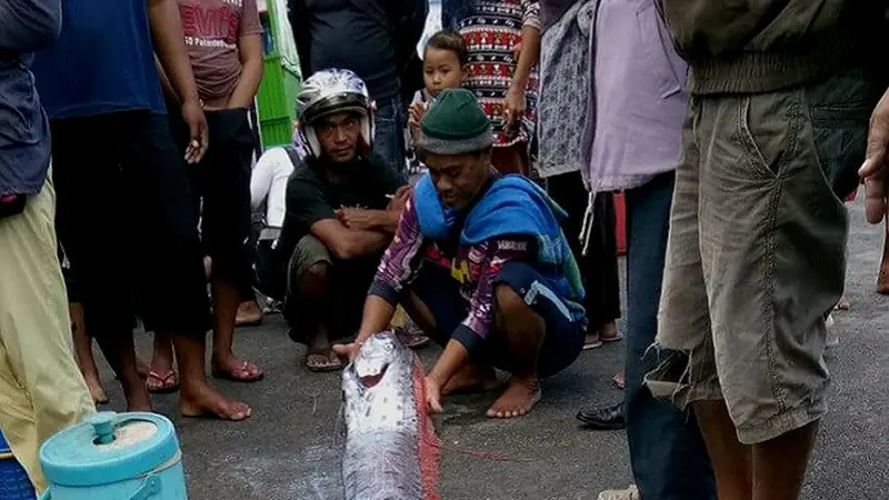 Nasib Ikan Mitos Pertanda Gempa yang Hebohkan Tempat Pelelangan