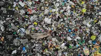 Pandangan udara menunjukkan seekor babi memakan sampah di saluran pembuangan air limbah yang dipenuhi sampah di lingkungan berpenghasilan rendah di New Delhi, India (4/10/2019). (AFP Photo/Noemi Cassanelli)