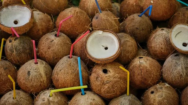 Trik Memilih Kelapa Muda yang Airnya Manis/Photo by engin akyurt on Unsplash