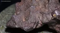 Batu Meteorit Ini Harganya Rp 1.6 Miliar Hanya Jadi Ganjal Pintu (Sumber: Youtube/Central Michigan University)