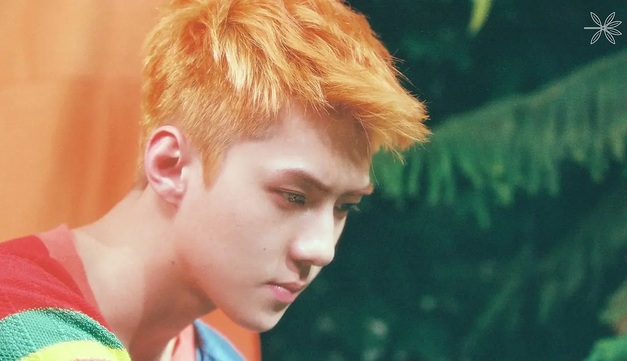 Tak hanya mengucapkan melalui media sosial, beberapa penggemarnya juga melakukan project ulang tahun yang benar-benar gila. (Foto: Soompi.com)