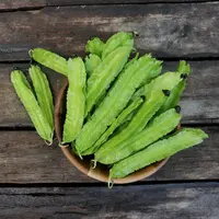 ilustrasi manfaat kecipir untuk diet dan kesehatan tubuh/Pirunpon/shutterstock