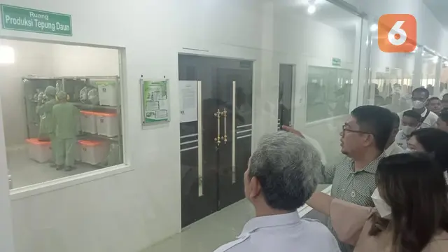 salah satu ruang pengolahan daun kelor di PT KOI