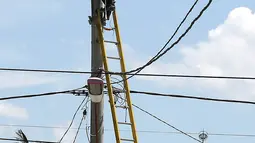 Petugas PLN memperbaiki jaringan listrik di Palu, Sulawesi Tengah, Sabtu (6/10). Sekitar 40 persen kondisi listrik di Kota Palu, Sulawesi Tengah (Sulteng), telah pulih. (Liputan6.com/Fery Pradolo)
