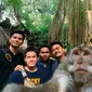 Monyet ajak selfie (Sumber: Twitter/giewahyudi)