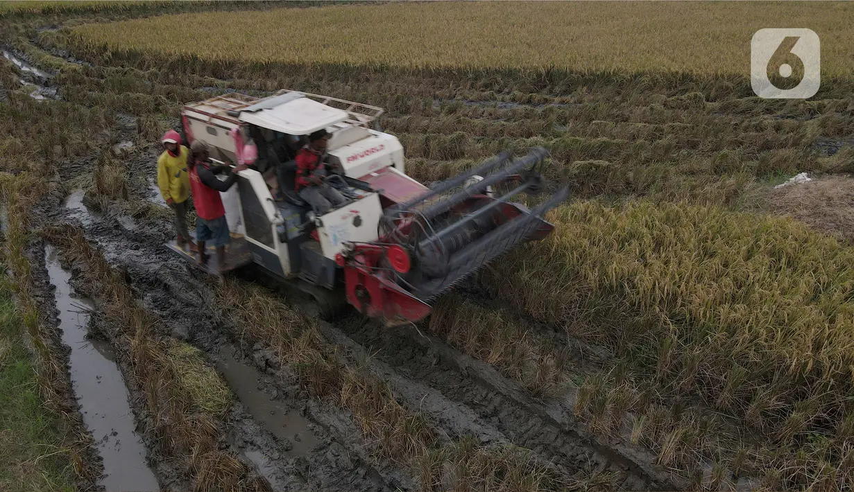 Program tersebut untuk mendukung kesejahteraan petani di masa mendatang.  (merdeka.com/imam buhori)