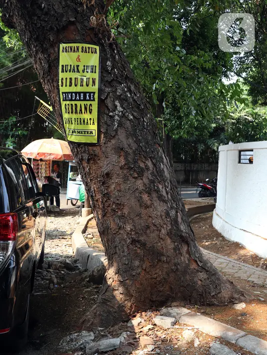 Lembaran informasi kuliner dipaku di batang pohon di kawasan Jalan Wijaya, Jakarta, Kamis (21/11/2019). Setiap 21 November diperingati sebagai Hari Pohon Sedunia, hal ini untuk mengingatkan masyarakat akan manfaat tanaman bagi kehidupan dan pelestarian lingkungan. (Liputan6.com/Helmi Fithriansyah)