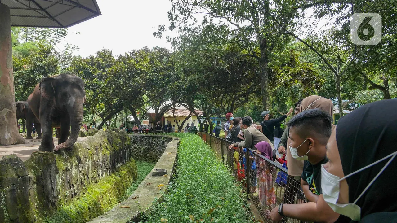 Taman Margasatwa Ragunan Ramai Saat Libur Isra Miraj