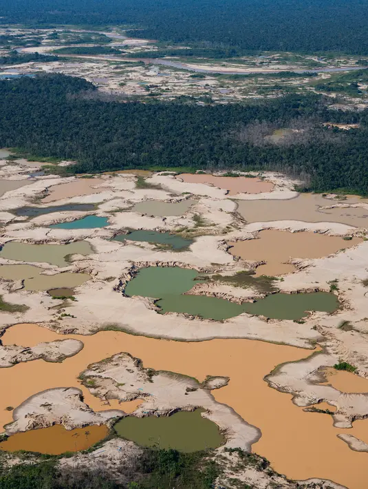 Pandangan udara kawasan Hutan Amazon yang terdeforestasi (penurunan luas area hutan secara kualitas dan kuantitas) di wilayah Sungai Madre de Dios, Peru, Jumat (17/5/2019). Pemerintah Peru mengerahkan tentara dan polisi untuk mengusir penambang ilegal di Hutan Amazon. (CRIS BOURONCLE/AFP)