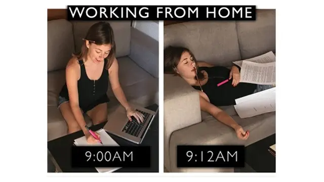 6 Meme 'Work From Home' Ini Bikin Senyum Sendiri
