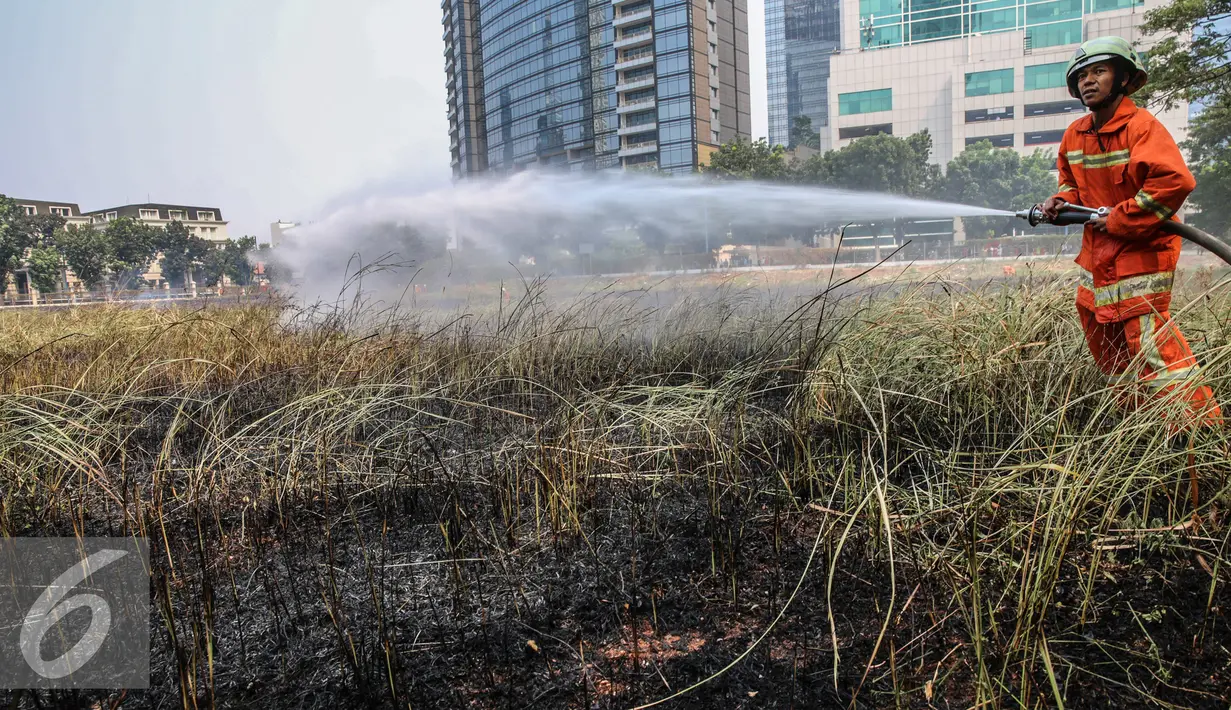Petugas pemadam kebakaran melakukan pemadaman lahan yang terbakar di kawasan Lingkar Mega Kuningan, Jakarta, Minggu (13/9/2015). Diduga kebakaran lahan kosong tersebut puntung rokok yang dibuang sembarangan. (Liputan6.com/Faizal Fanani) 
