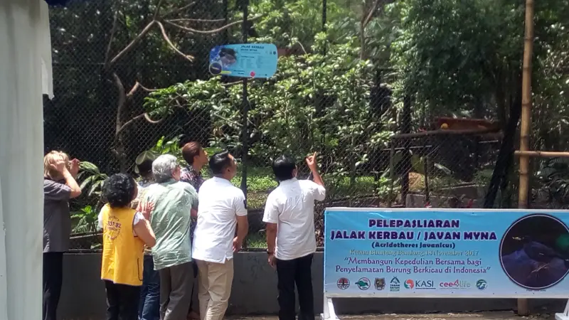 Agar Suara Merdu Kicau Burung Makin Ramai di Bandung