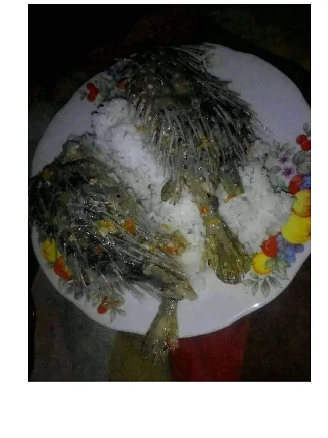 7 Cara Netizen Makan Ikan Ini Nyeleneh Banget, Bikin Geleng Kepala