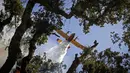 Sebuah pesawat Royal Moroccan Air Force Canadair memadamkan kebakaran hutan di wilayah Chefchaouen, Maroko, 17 Agustus 2021. Pesawat pemadam kebakaran digunakan untuk mengatasi kebakaran yang telah menghancurkan sekitar 200 hektare hutan. (FADEL SENNA/AFP)