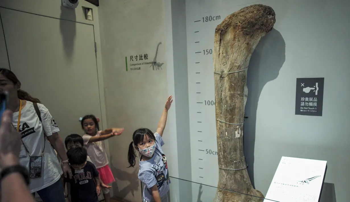 <p>Selain fosil dinosaurus mesozoikum menakjubkan yang telah lama ada, pameran ini juga memamerkan tulang paha raksasa sauropoda berukuran 180 sentimeter. (AFP/Sam Yeh)</p>