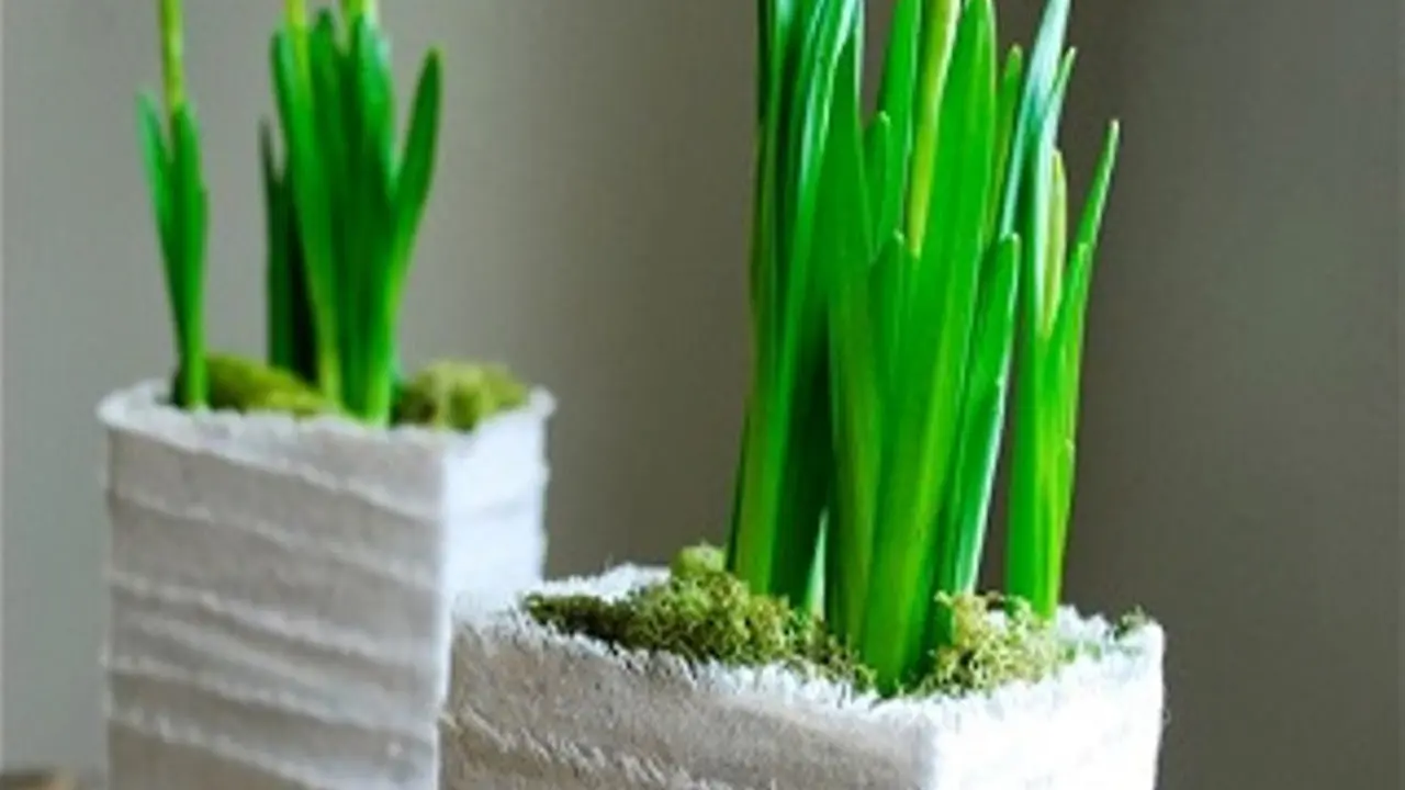 DIY karton susu