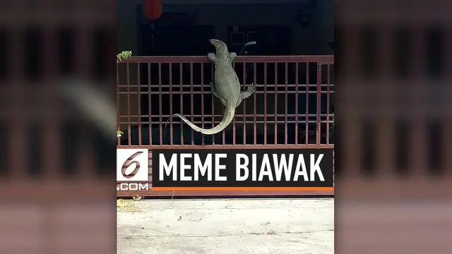 Peristiwa seekor biawak raksasa memanjat rumah warga di Malaysia viral di media sosial. Tak butuh waktu lama, warganet langsung menjadikan peristiwa tersebut menjadi meme lucu.