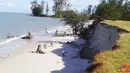 Citizen6, Bangka Belitung: Akibat pencurian besi pemecah ombaak, lahan sekitar pantai terkena abrasi kurang lebih sejauh 15 meter, dan terjadi longsoran tanah sekitar tiga meter. (Pengirim: Muhamad Fatih)