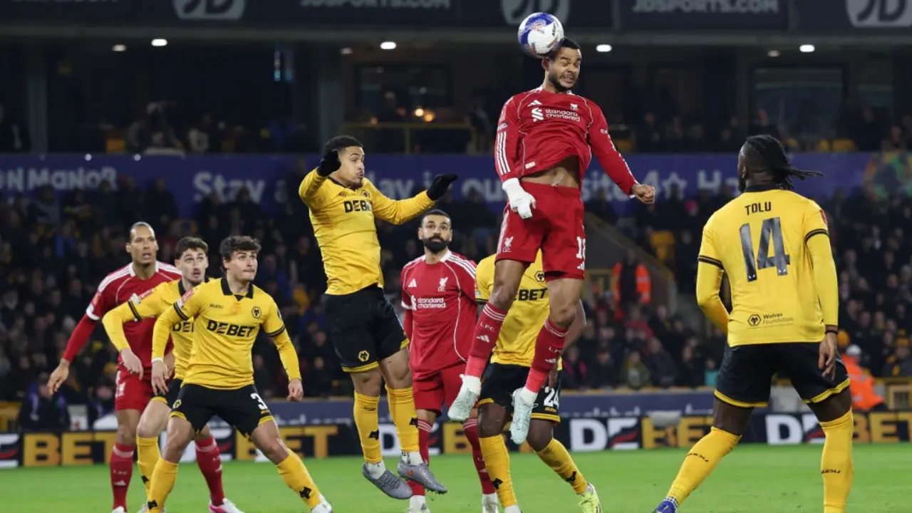 Wolves Vs Liverpool