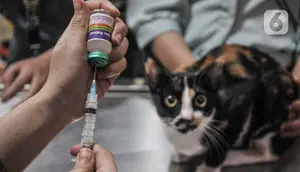 Vaksinasi hingga Sterilisasi, Ini Layanan Mobil Klinik Hewan Keliling Jakarta
