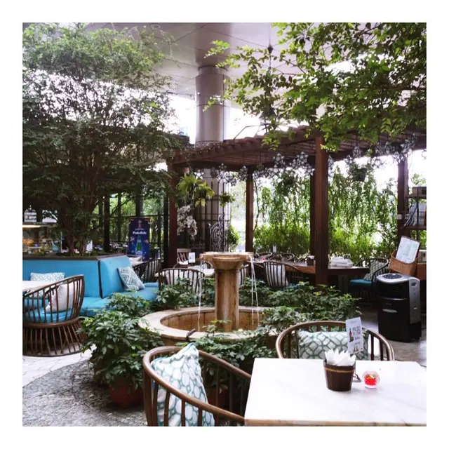 Kafe Bernuansa Alam di Jakarta