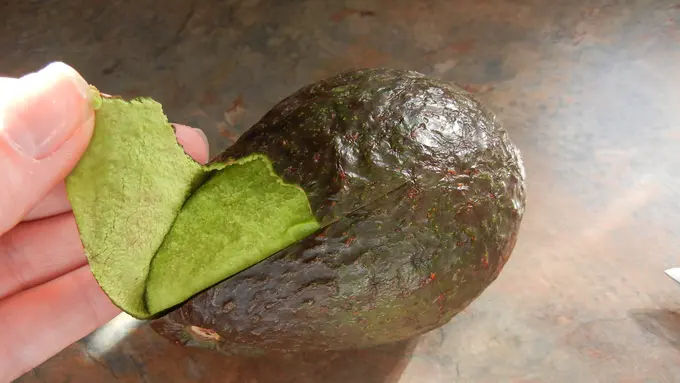 [Bintang] Tips Masak: Cara Mengupas Buah yang Benar