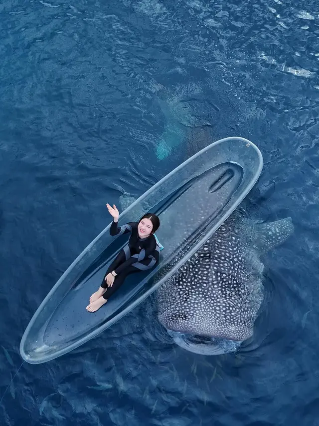 Potret Tiara Andini Berenang Bareng 2 Hiu Paus di Gorontalo. (instagram/tiaraandini)