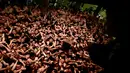 Sejumlah pria Jepang bertelanjang dada dalam acara Hadaka Matsuri atau Festival Pria Telanjang, Jepang, Sabtu (18/2). Mereka berdesakan untuk mendapatkan tongkat suci sebagai simbol keberuntungan. (AFP PHOTO / Behrouz MEHRI)