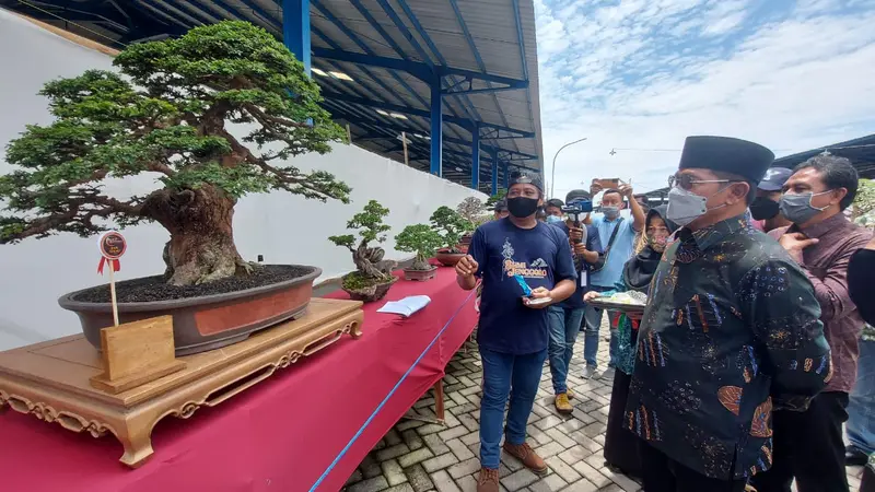 Pameran dan kontes bonsai bumi jenggolo Sidoarjo. (Dian Kurniawan/Liputan6.com)