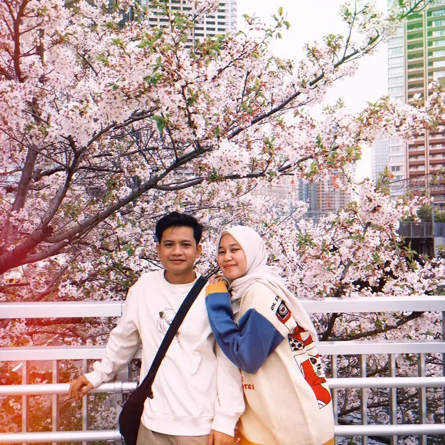 Artis Berburu Sakura ke Jepang