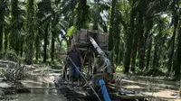 Penambang liar sudah lama berlangsung di Kuansing, Riau. (Liputan6.com/ M Syukur)
