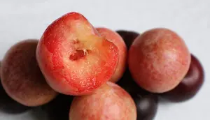 3 Pohon Buah Berbiji yang Relatif Mudah Dibudidayakan di Rumah