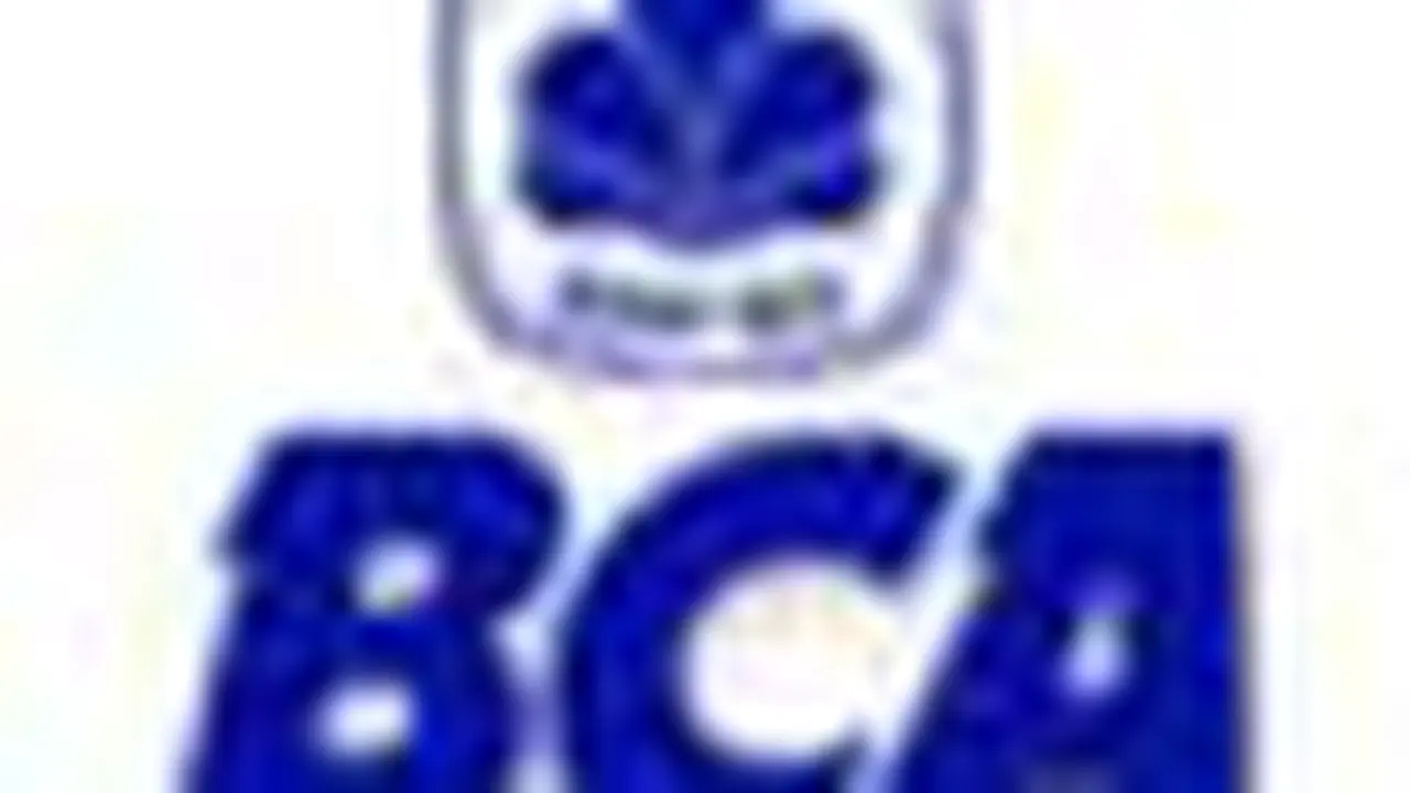 t090302bBca.jpg
