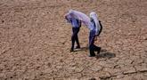 Anak-anak sekolah menggunakan handuk katun di atas kepala mereka untuk melindungi diri dari terik matahari saat berjalan melintasi ladang kering di pinggiran Jammu, India, Rabu 20 Mei 2026. (AP Photo/Channi Anand)