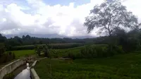 Program RJIT Kementan Dongkrak Produktivitas Petani Pinagar Tapanuli Selatan