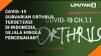 Mutasi dan penyebaran varian COVID-19 Omicron masih terjadi. Terbaru, Indonesia melaporkan penambahan varian anakan dari Omicron yakni subvarian CH.1.1 atau Orthrus. Data terbaru, sudah ada 53 kasus Orthrus yang disampaikan Kementerian Kesehatan (Kem...