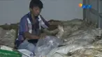 Satgas pangan gerebek gudang penyimpanan ayam busuk dan berformalin di Karawang.