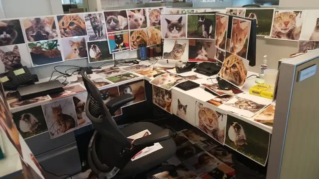 6 Potret Suasana Kantor Ini Sering Dirasakan Karyawan, Bikin Senyum Tipis