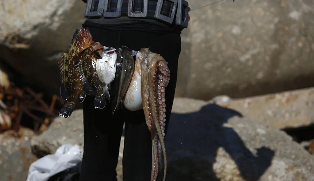 Sejumlah ikan tangkapan Salem Abu Amerah terlihat setelah menyelam di laut di pelabuhan  Kota Gaza (20/12/2019). Salem Abu Amerah mencari ikan untuk membantu keluarganya. (AP Photo/Hatem Moussa)