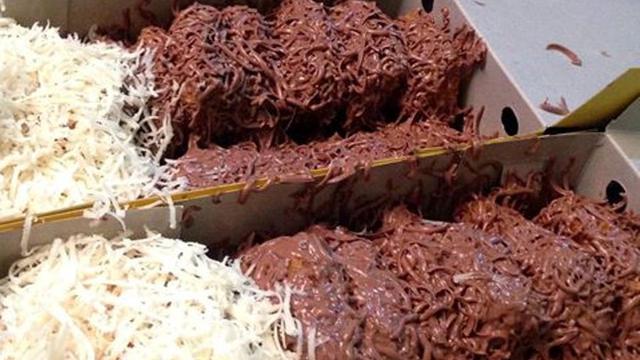 Raja pisang nugget ini membuka pemesanan melalui akun instagram resminya @rajapisangnugget.