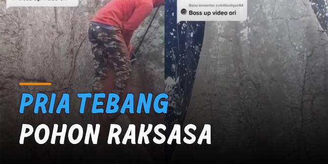 VIDEO: Pria Tebang Pohon Raksasa, Warganet Malah Khawatir Efek Magis