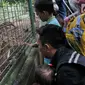 Warga saat melihat binatang rusa di Taman Margasatwa Ragunan, Jakarta Selatan, Senin (26/6). Memasuki lebaran ke-2, warga menghabiskan waktu berkunjung ke taman rekreasi bersama keluarga. (Liputan6.com/Yoppy Renato)