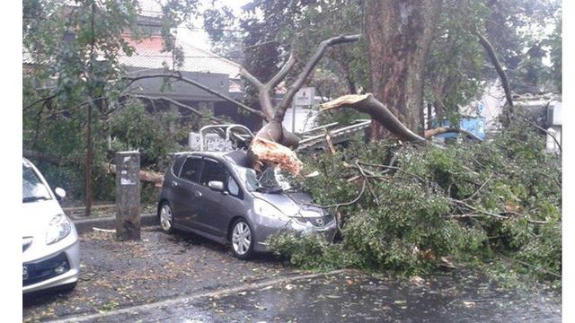 5 Momen Apes Saat Hujan Ini Bikin Nyesek