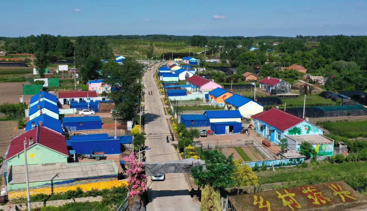 Foto dari udara yang diabadikan pada 18 Juni 2020 ini menunjukkan rumah-rumah yang dihiasi lukisan di Desa Qingshui, Kota Changchun, China timur laut. Para mahasiswa dan pengajar dari Universitas Seni Jilin menghiasi desa tersebut dengan mural. (Xinhua/Lin Hong)