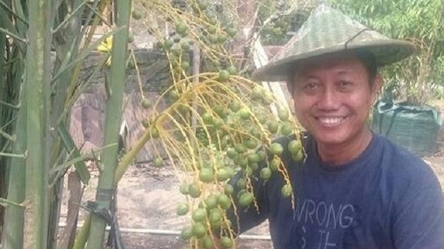 Wisata Kebun Buah Kurma Nabi Di Bantul Yogyakarta Ramadan
