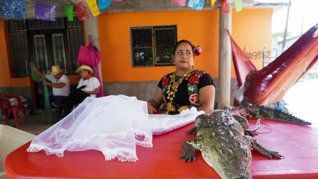 Menikahi Buaya