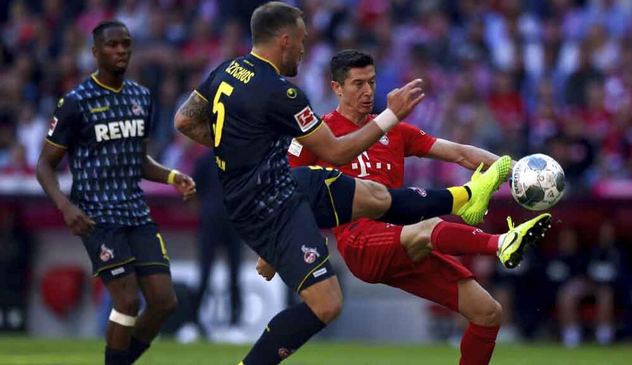 Striker Bayern Munchen, Robert Lewandowski, berebut bola dengan pemain Koln, Rafael Czichos, pada laga Bundesliga di Allianz Arena, Sabtu (21/9/2019). Bayern Munchen menang 4-0 atas Koln. (AP/Matthias Schrader)