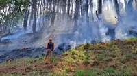 Personel BPBD berusaha memadamkan api yang membakar hutan pinus perhutani di Songgokerto, Kota Batu, pada Jumat, 27 Oktober 2023. (BPBD Kota Batu)