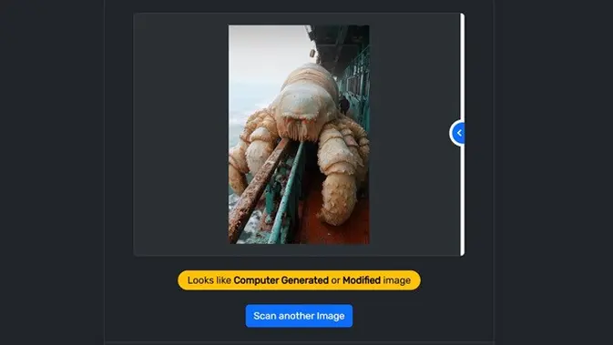 <p>Gambar tangkapan layar penelusuran foto menggunakan fakeimagedetector.com.</p>